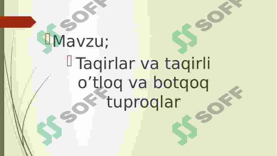 Taqirlar va taqirli o’tloq va botqoq tuproqlar 2