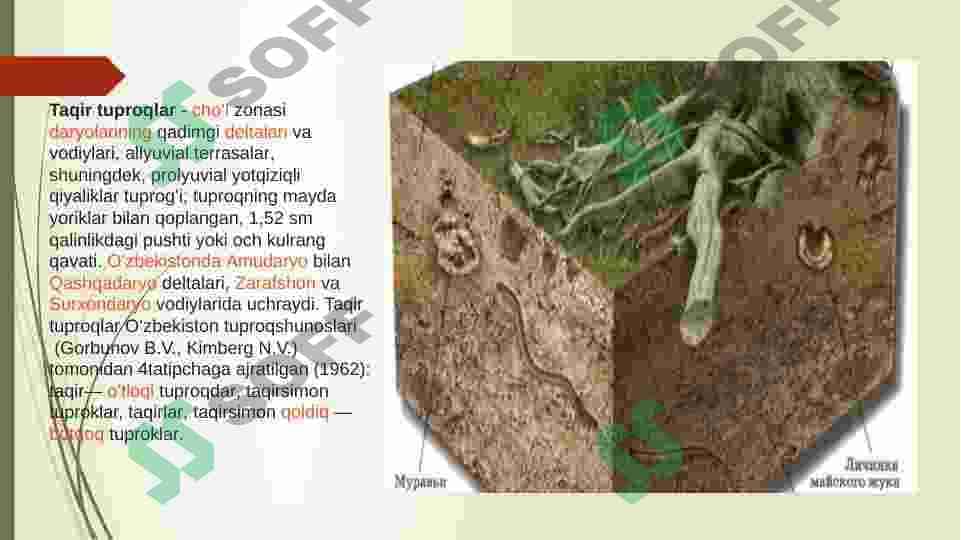 Taqirlar va taqirli o’tloq va botqoq tuproqlar 4