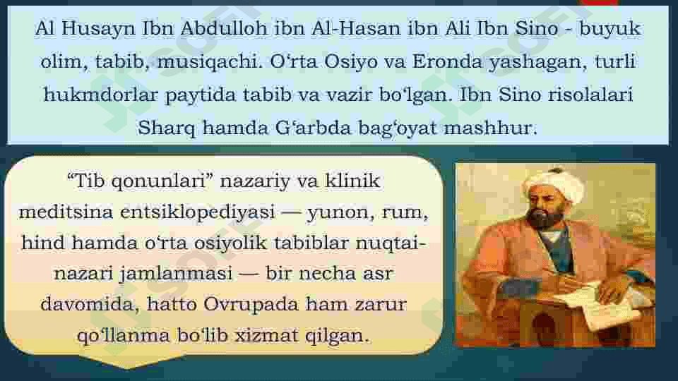 Abu Ali Ibn Sino 3