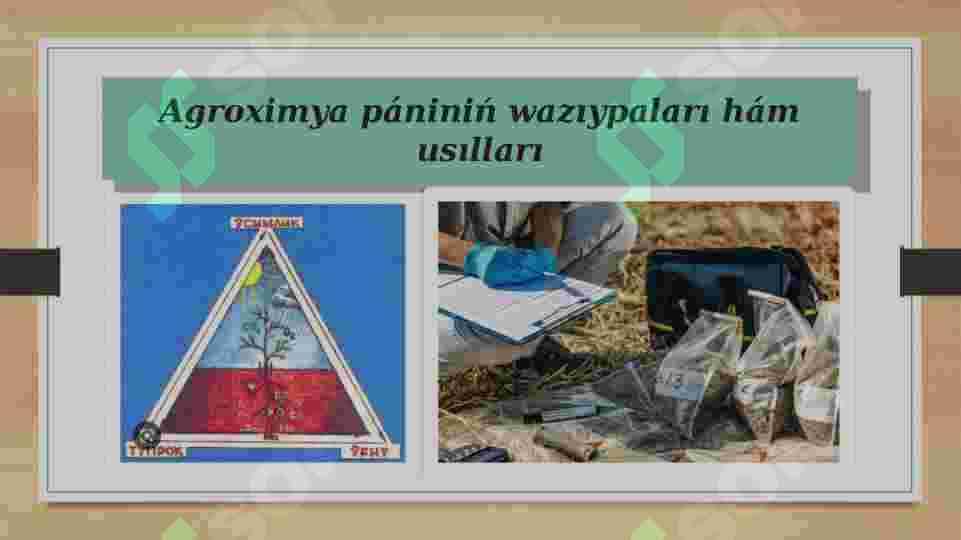 Agroximya pániniń awıl xojalıǵında áhmiyeti 4