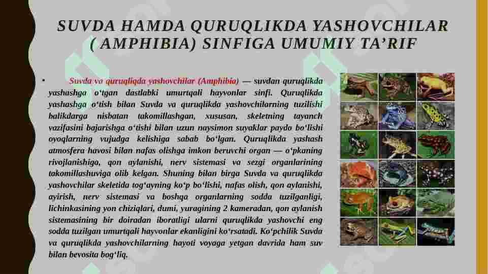 Suvda ham quruqlikda yashovchilarning quruqlikda chiqish sabablari va moslanish xususiyatlari 2