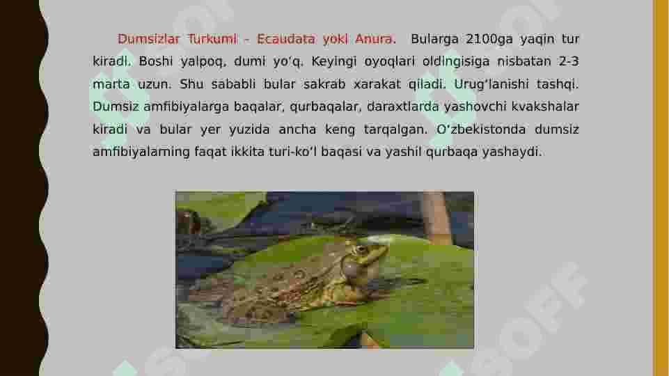 Suvda ham quruqlikda yashovchilarning quruqlikda chiqish sabablari va moslanish xususiyatlari 6