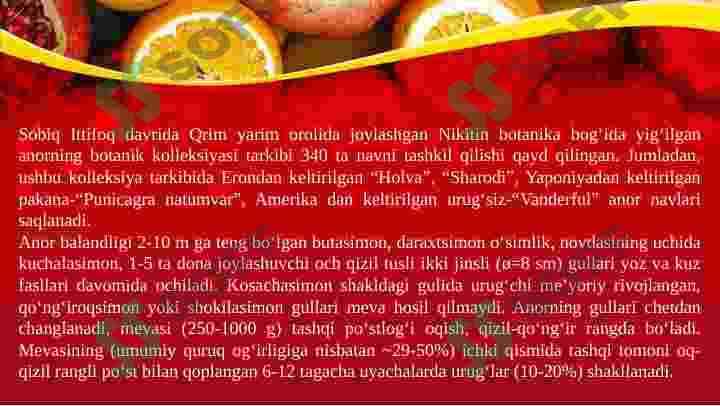 Anor 5