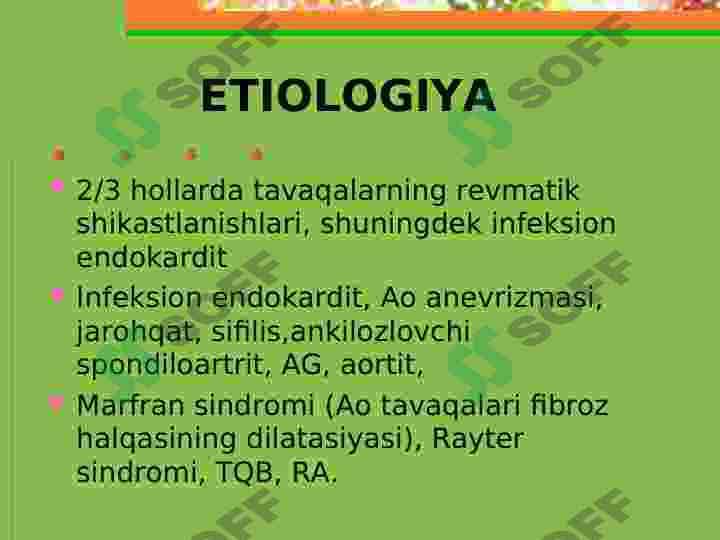 Aorta yetishmovchiligi 3