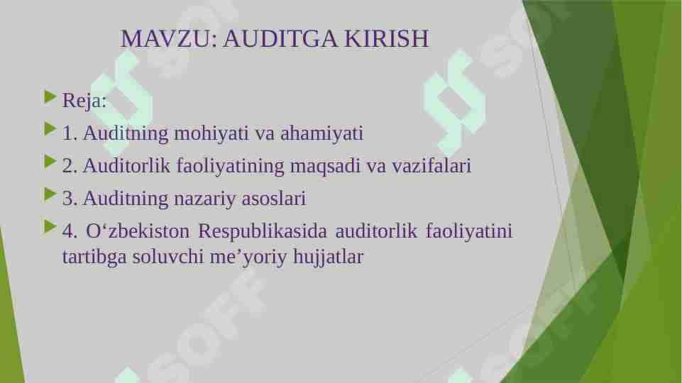AUDITGA KIRISH