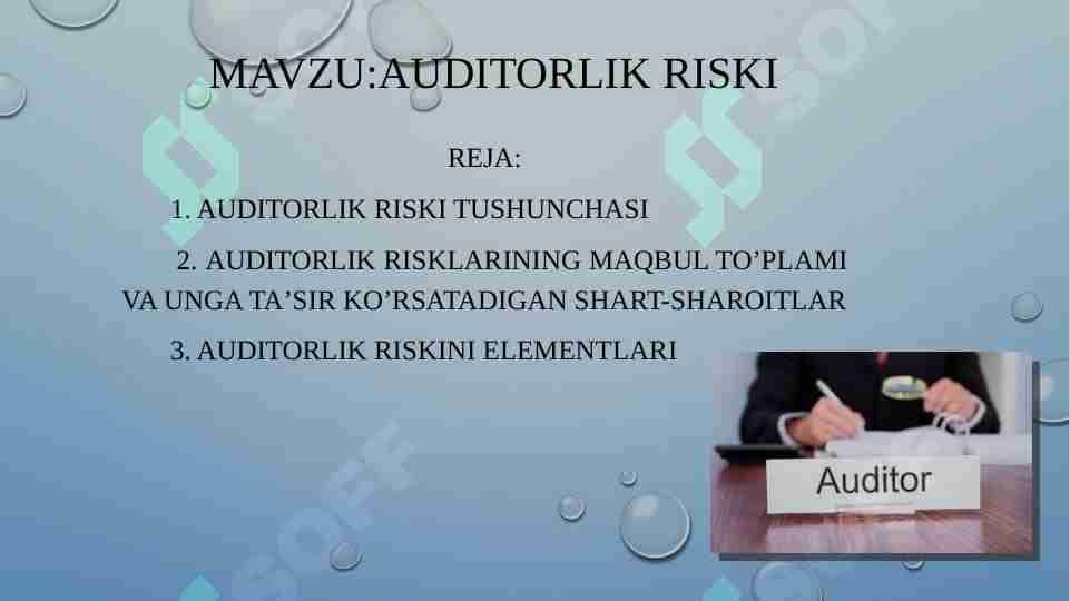 AUDITORLIK RISKI