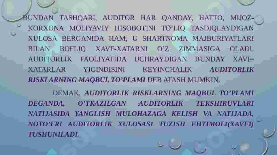 AUDITORLIK RISKI 3