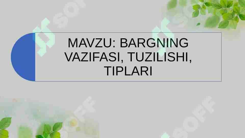 BARGNING VAZIFASI, TUZILISHI, TIPLARI