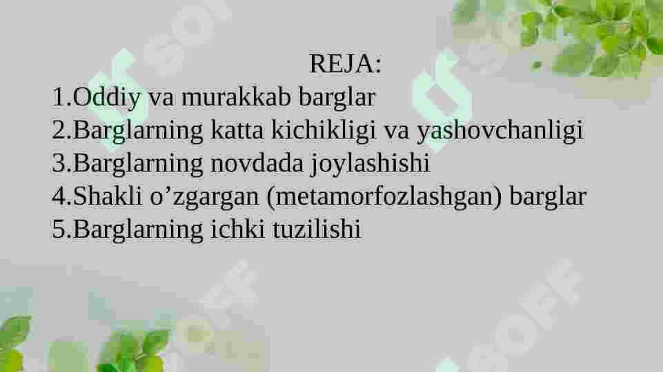 BARGNING VAZIFASI, TUZILISHI, TIPLARI 2