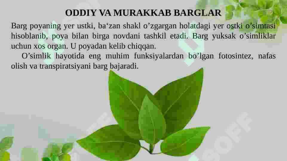 BARGNING VAZIFASI, TUZILISHI, TIPLARI 3