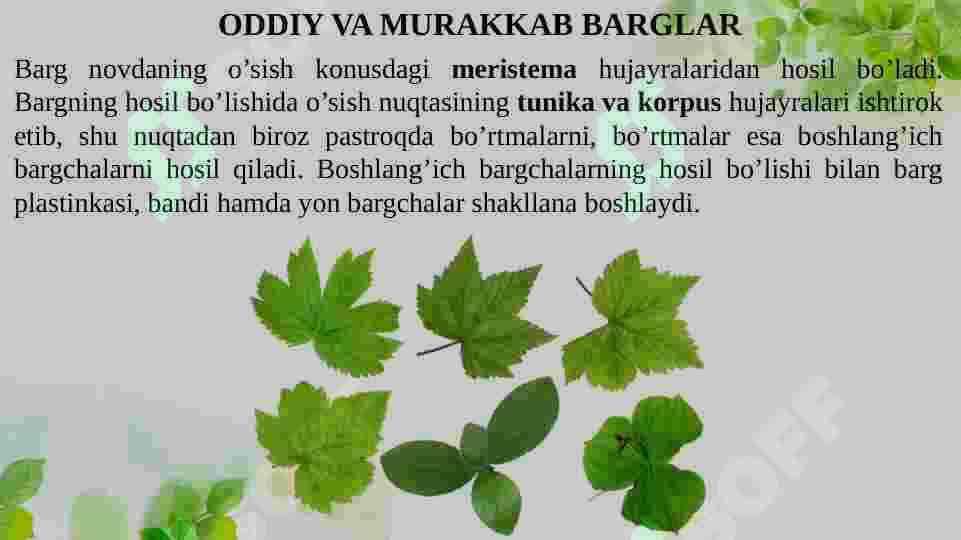 BARGNING VAZIFASI, TUZILISHI, TIPLARI 5
