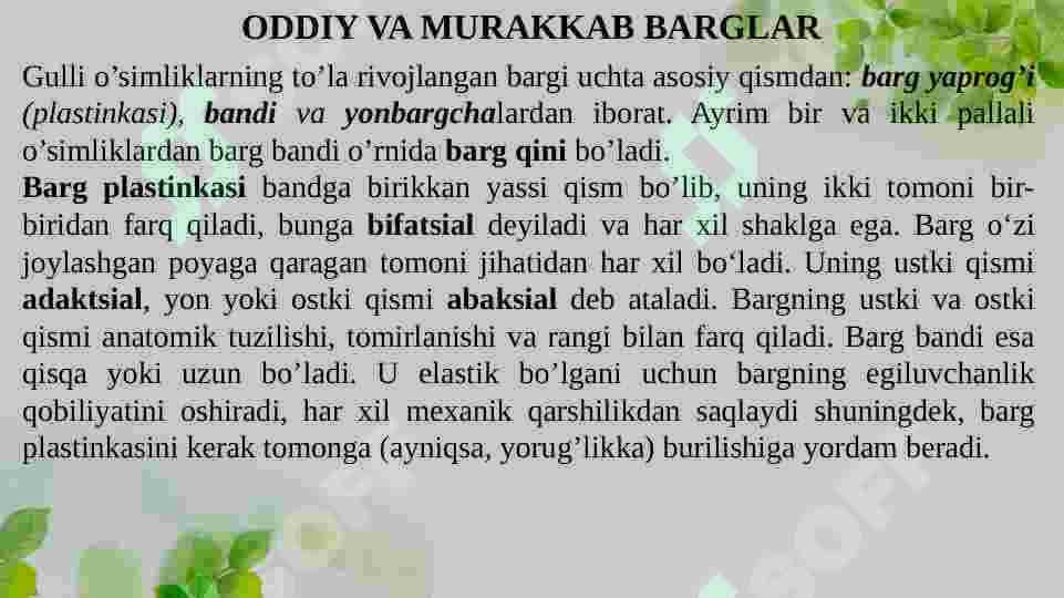 BARGNING VAZIFASI, TUZILISHI, TIPLARI 6