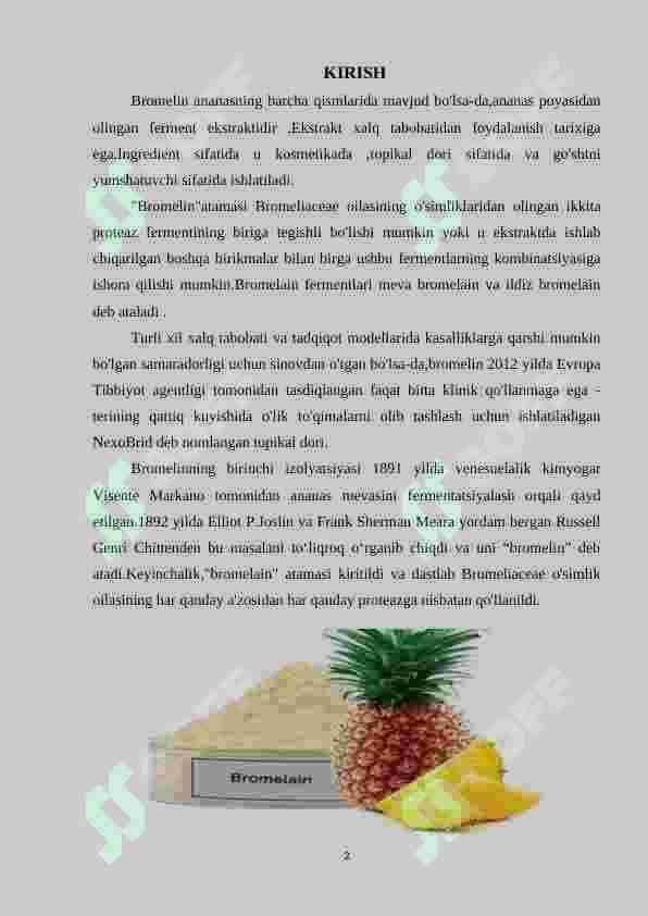 Bromelin fermentining oziq-ovqat sanoatida qo’llanilishi 2