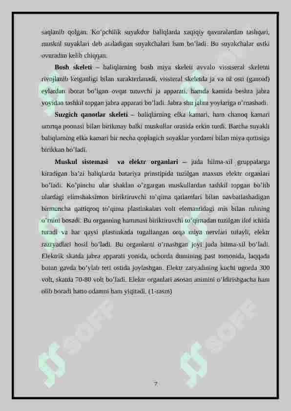 O’RTA OSIYO SUV HAVZALARIDA UCHRAYDIGAN BALIQ TURLARI VA ULARNING EKOLOGIK GURUHLARI 7