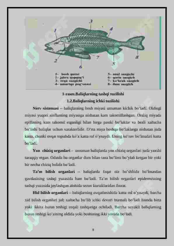 O’RTA OSIYO SUV HAVZALARIDA UCHRAYDIGAN BALIQ TURLARI VA ULARNING EKOLOGIK GURUHLARI 8