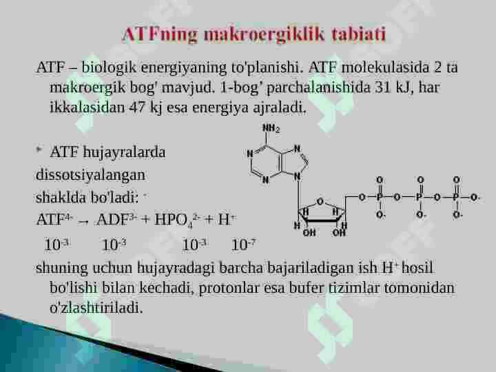 Biologik oksidlanish 7