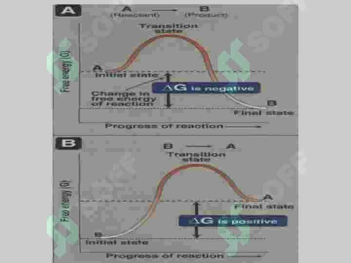 Biologik oksidlanish 6