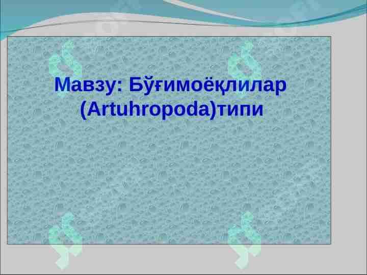 Bo‘g‘imoyoqlilar (Artuhropoda) tipi