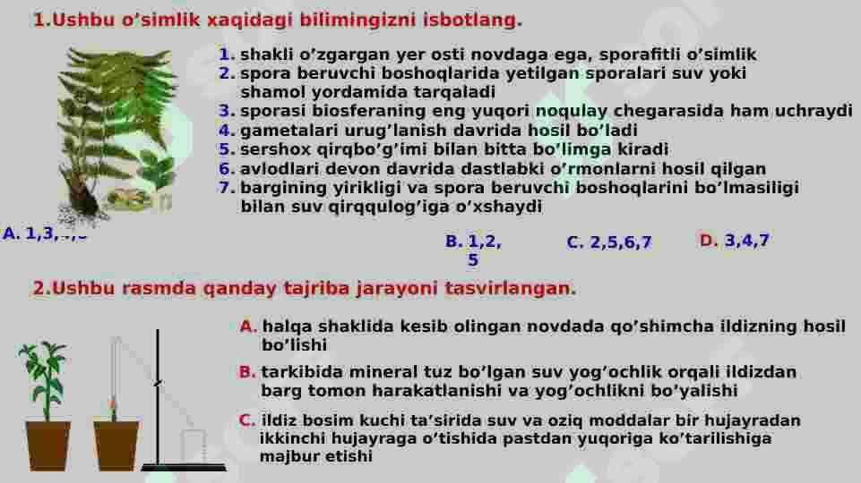 botanika test 2
