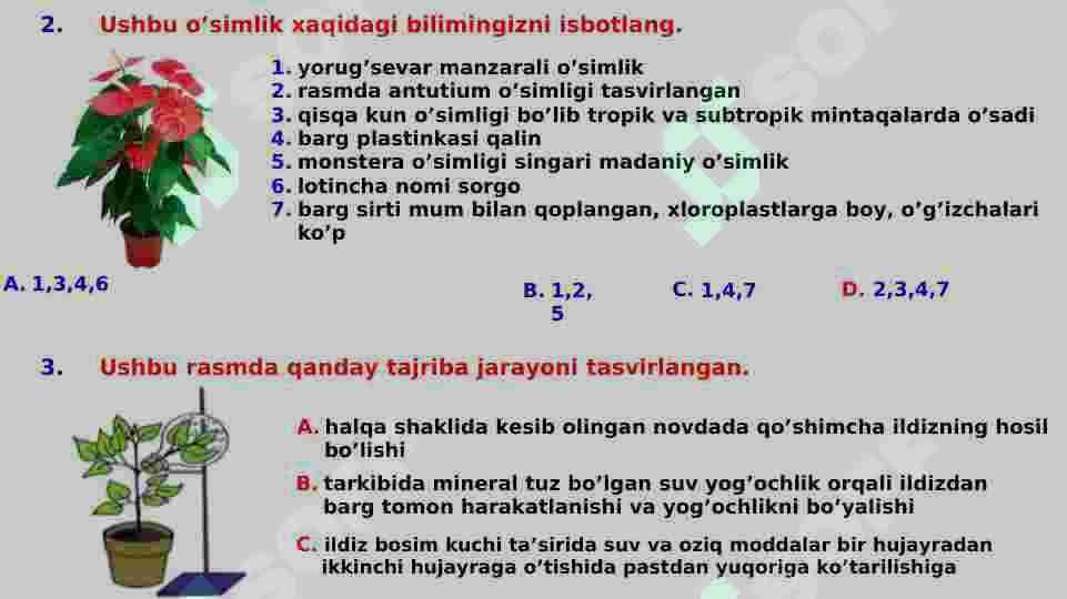 botanika test 4