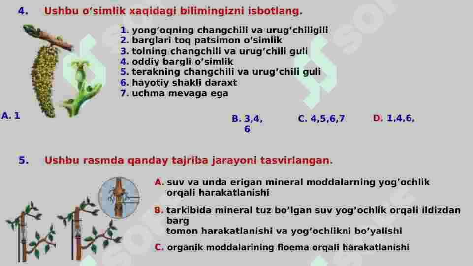 botanika test 6