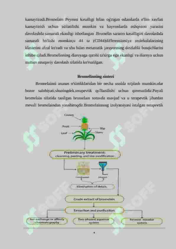 Bromelin fermentining tibbiyotda qo’llanilishi 4