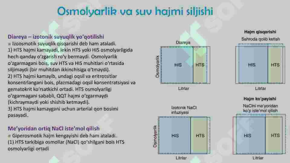 Nefron fiziologiyasi 3