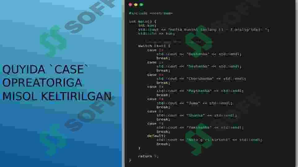Switch Case: C++ dasturlash tili 3