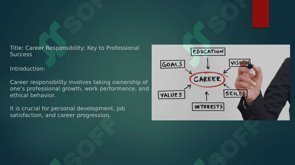 Career Responsibility 2