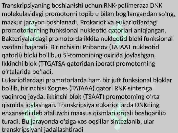 DNK Transkripsiyasi 7