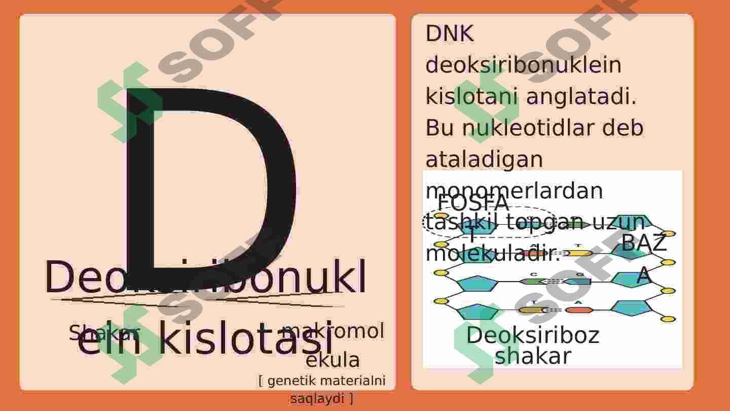 DNK nima 4