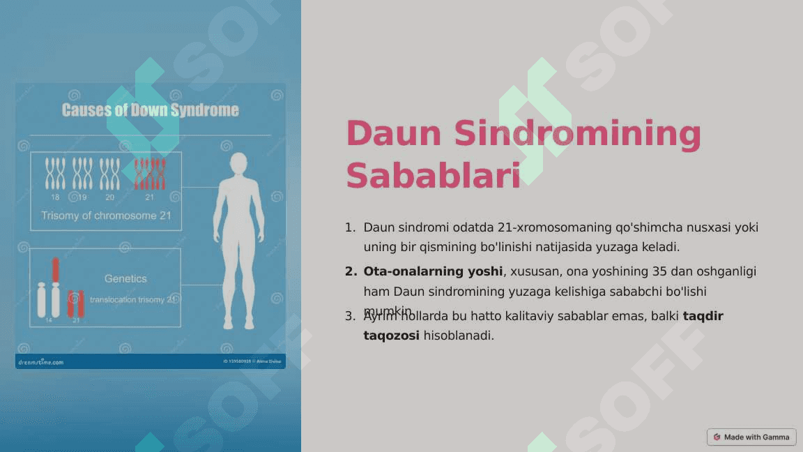 Daun-Sindromi 2