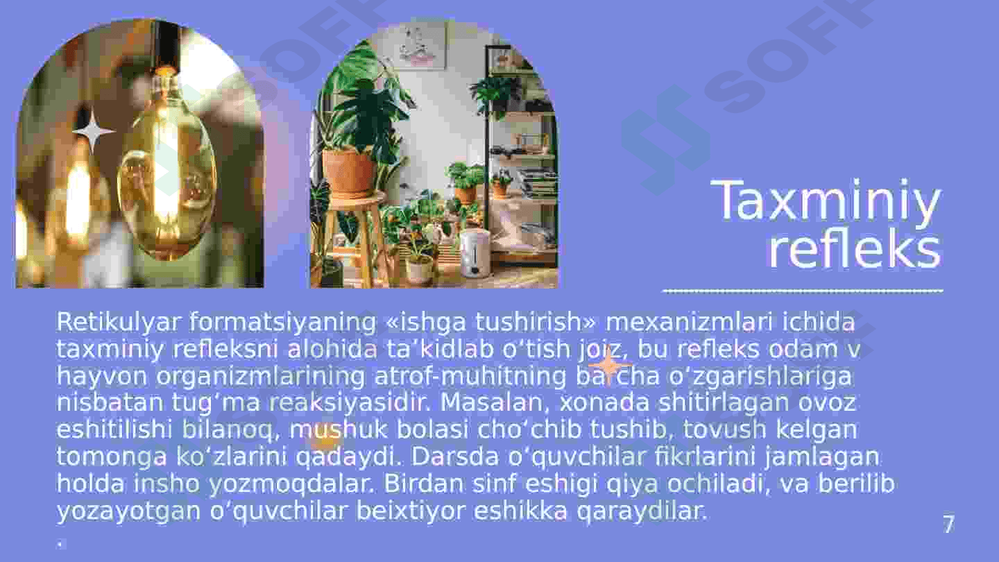 Diqqat va sezgi 7
