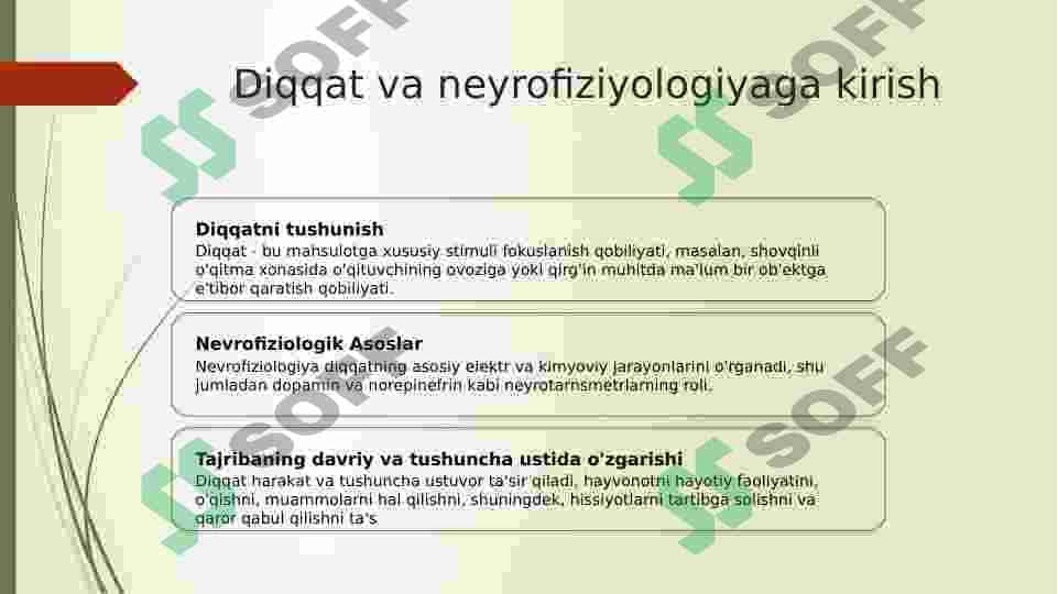 Diqqatni tushunish.Neyrofiziologik fondlar 3