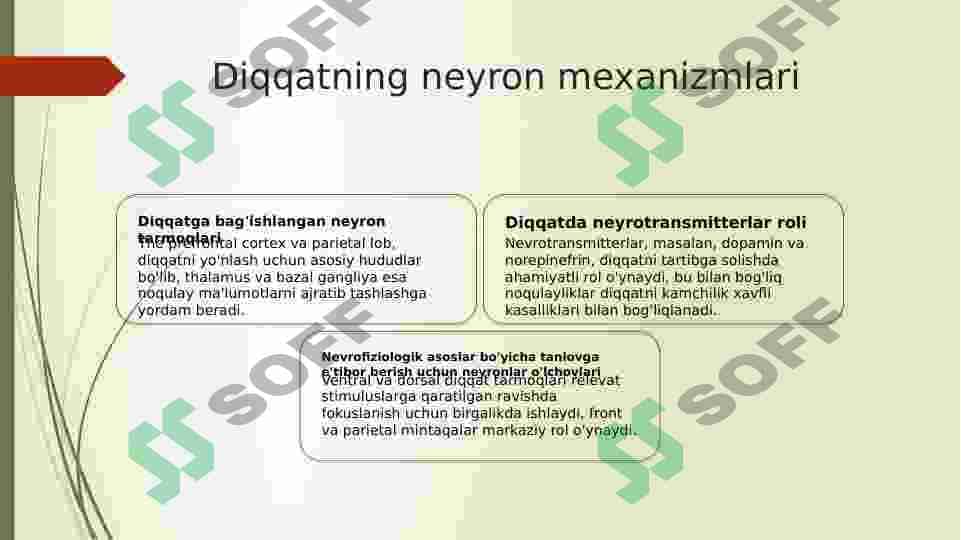 Diqqatni tushunish.Neyrofiziologik fondlar 5
