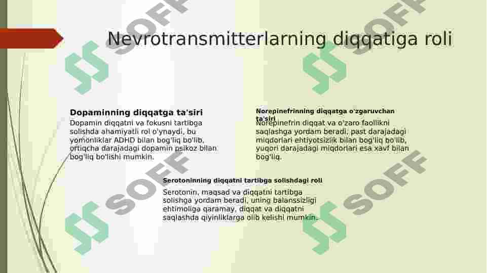 Diqqatni tushunish.Neyrofiziologik fondlar 6