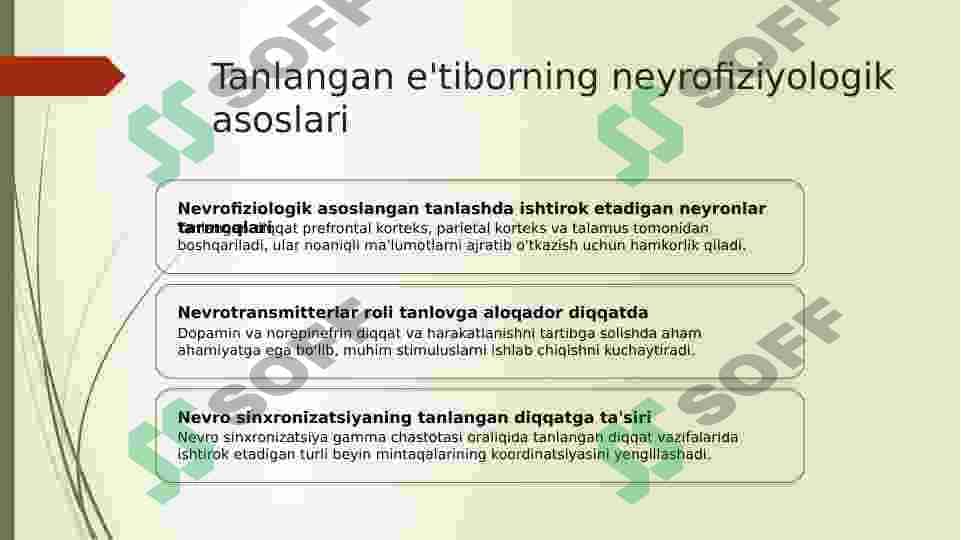 Diqqatni tushunish.Neyrofiziologik fondlar 8