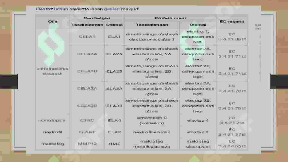 Elastaza fermentining ahamiyati va funksiyasi 4
