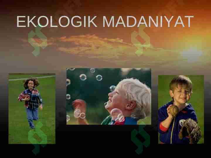Ekologik madaniyat