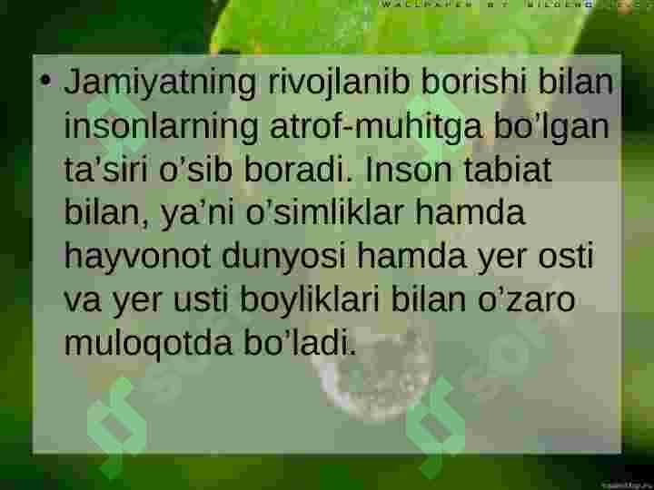 Ekologik madaniyat 2