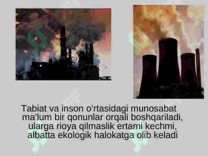 Ekologik madaniyat 4