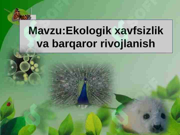 Ekologik xavfsizlik va barqaror rivojlanish