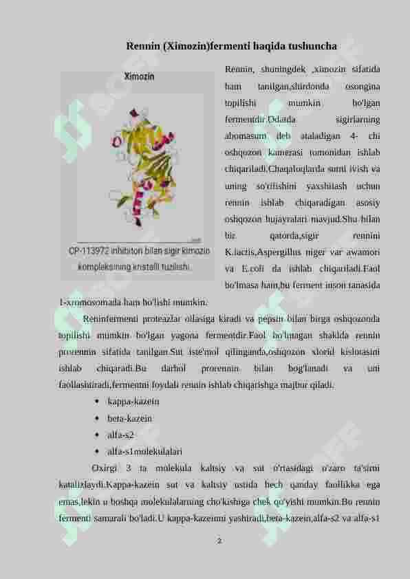 Rennin fermentining oziq – ovqat sanoatida qo’llanilishi 2