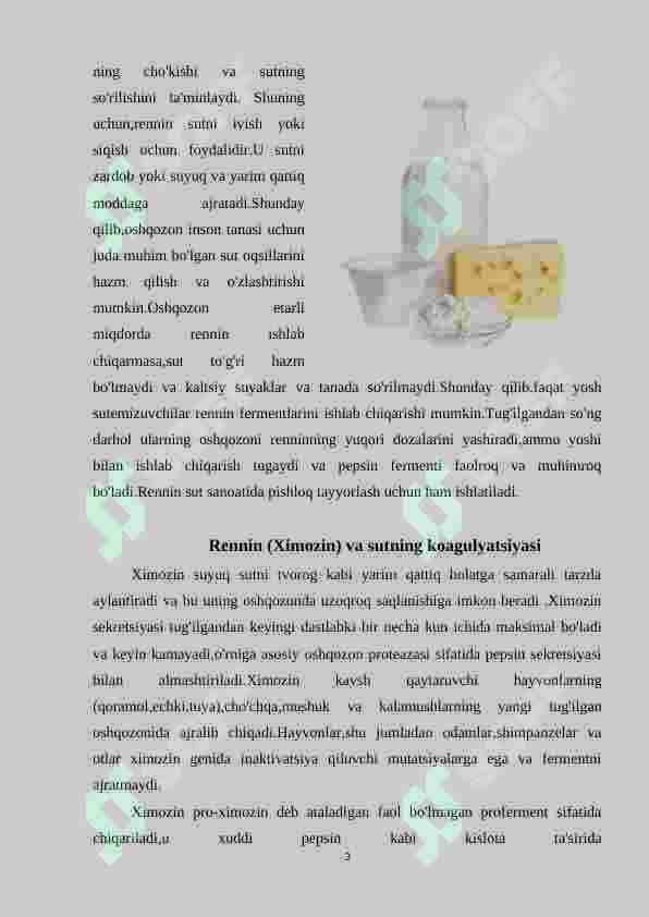 Rennin fermentining oziq – ovqat sanoatida qo’llanilishi 3