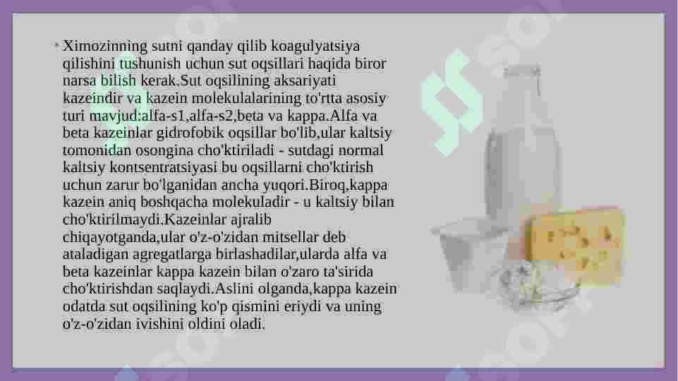 Rennin fermentining oziq-ovqat sanoatida qo’llanilishi 4