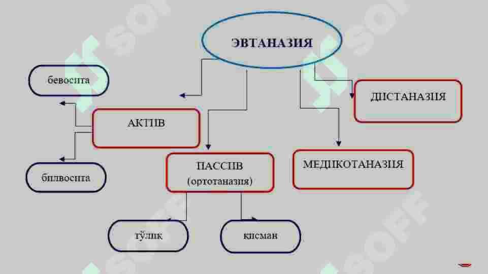 ЭВТАНАЗИЯНИ ТУРЛАРИ 3