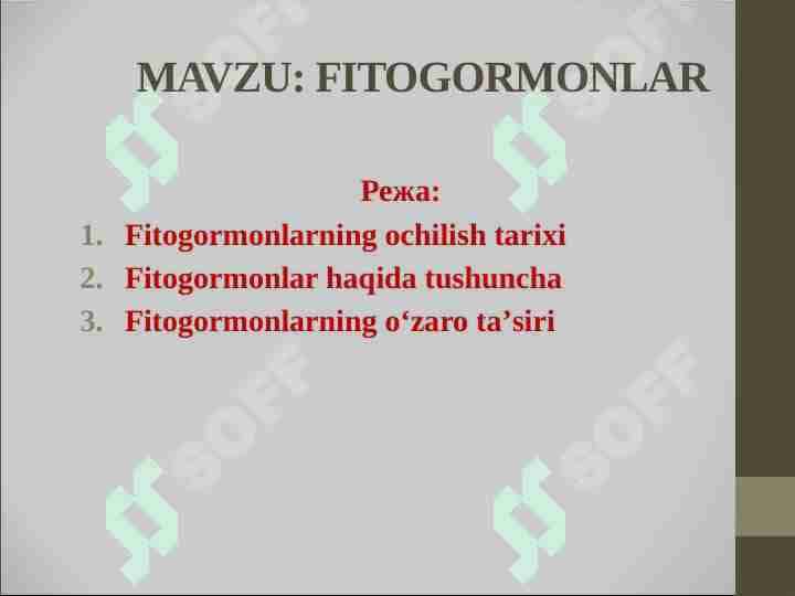 FITOGORMONLAR