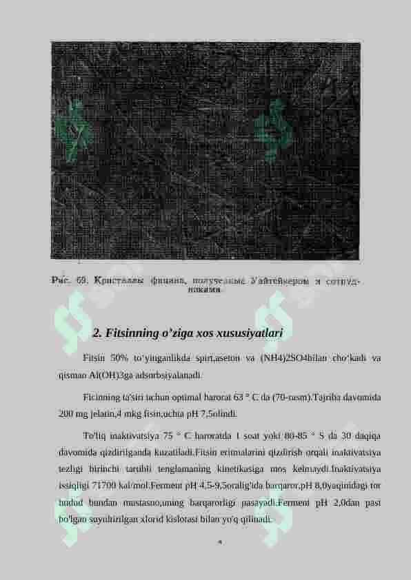 Fitsin fermentining oziq-ovqat sanoatida qo’llanilishi 4