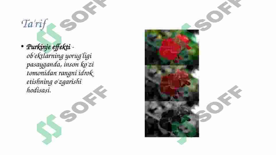 FOTOMETRIYA 6