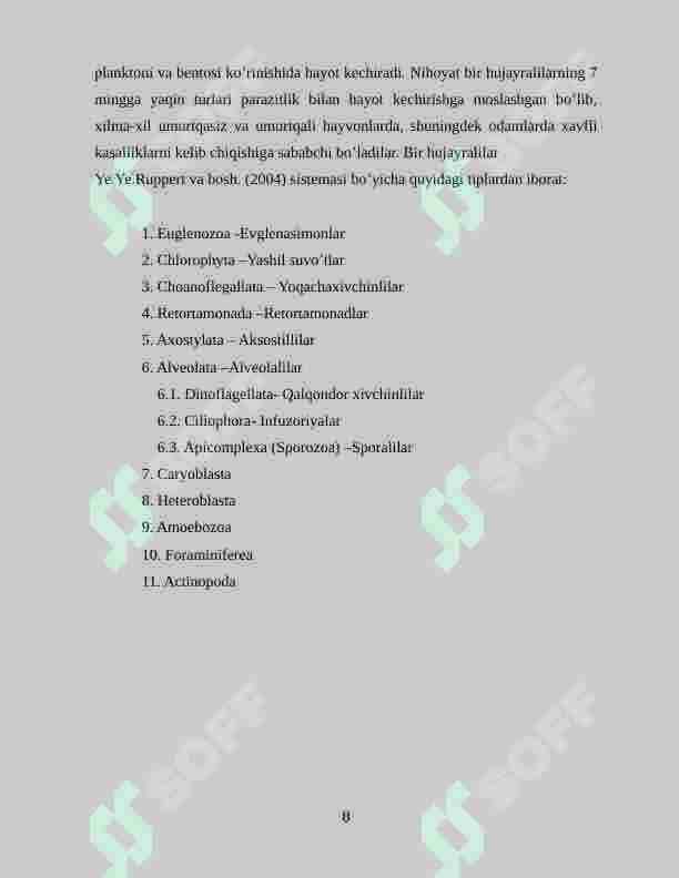Bir hujayralilar ya`ni soda hayvonlar  va ko'p hujayralilar dunyosi filogeniyasi 8